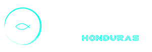 Mercy in Motion Logo